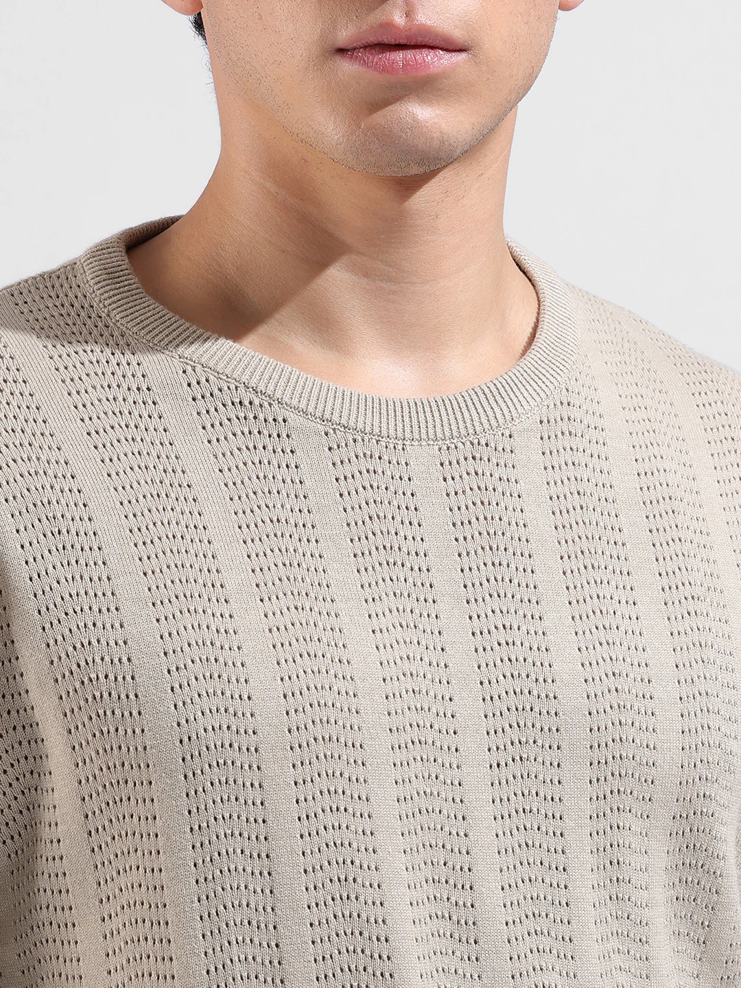 Men's Beige Slim Fit Striped Flat Knit Crew Neck T-Shirt - Image 5