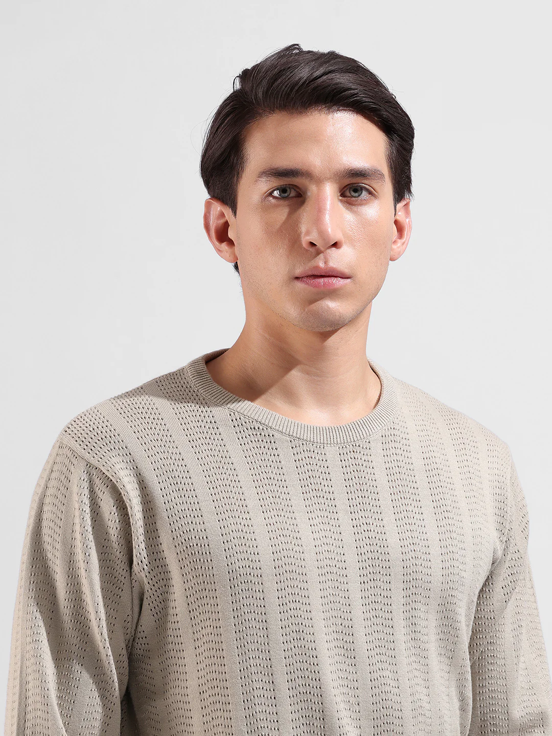 Men's Beige Slim Fit Striped Flat Knit Crew Neck T-Shirt - Image 8