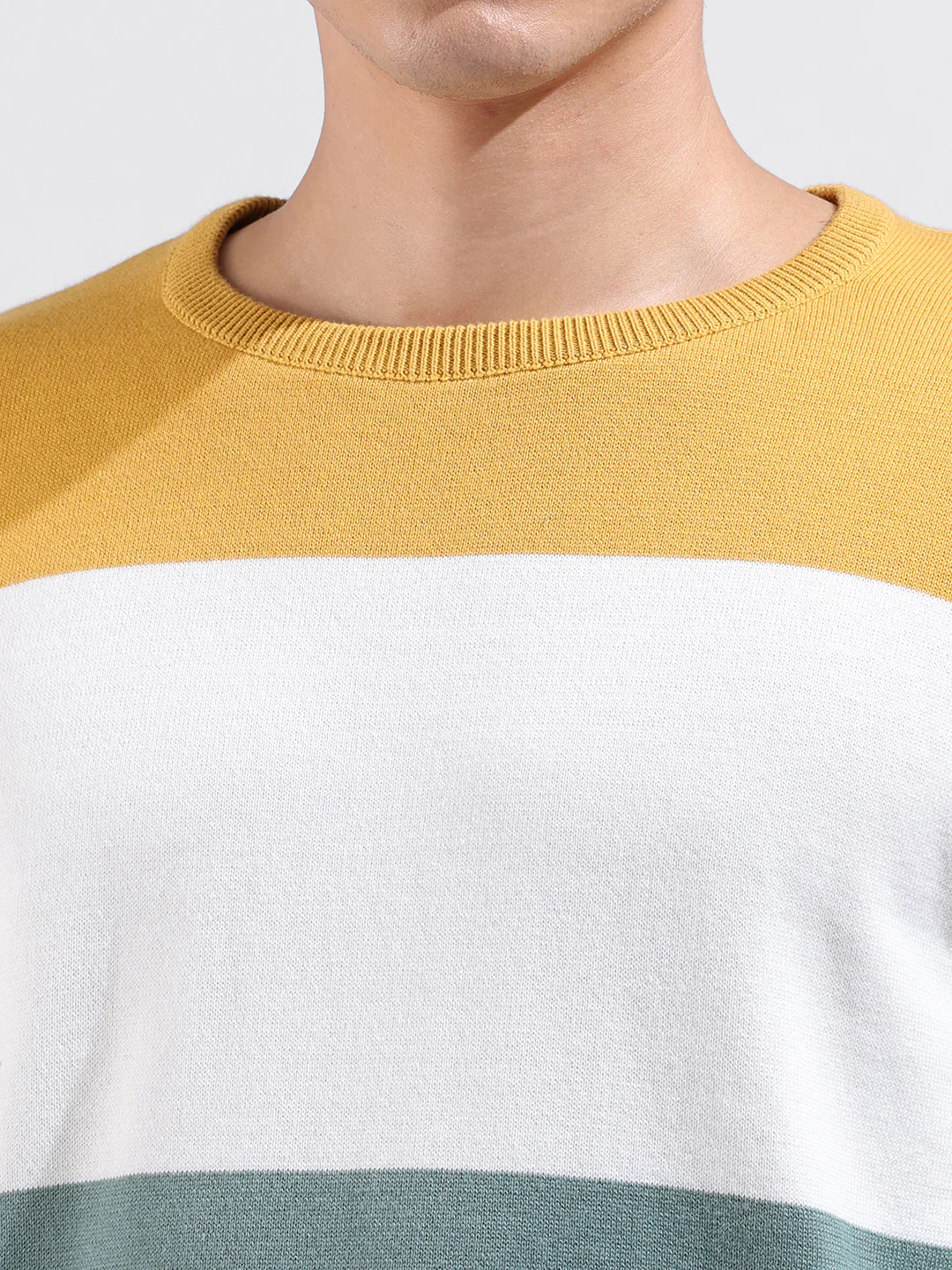 Men's Multicolor Slim Fit Colourblocked Flat Knit Crew Neck T-Shirt - Image 9