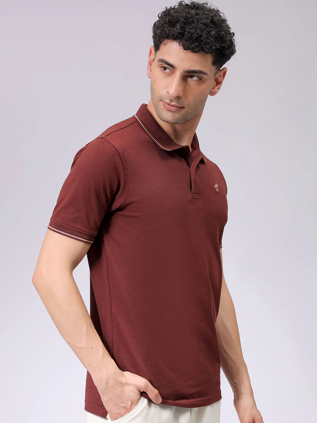 Men's Rum Raisin Regular Fit Embroided Casual T-Shirt - Image 3