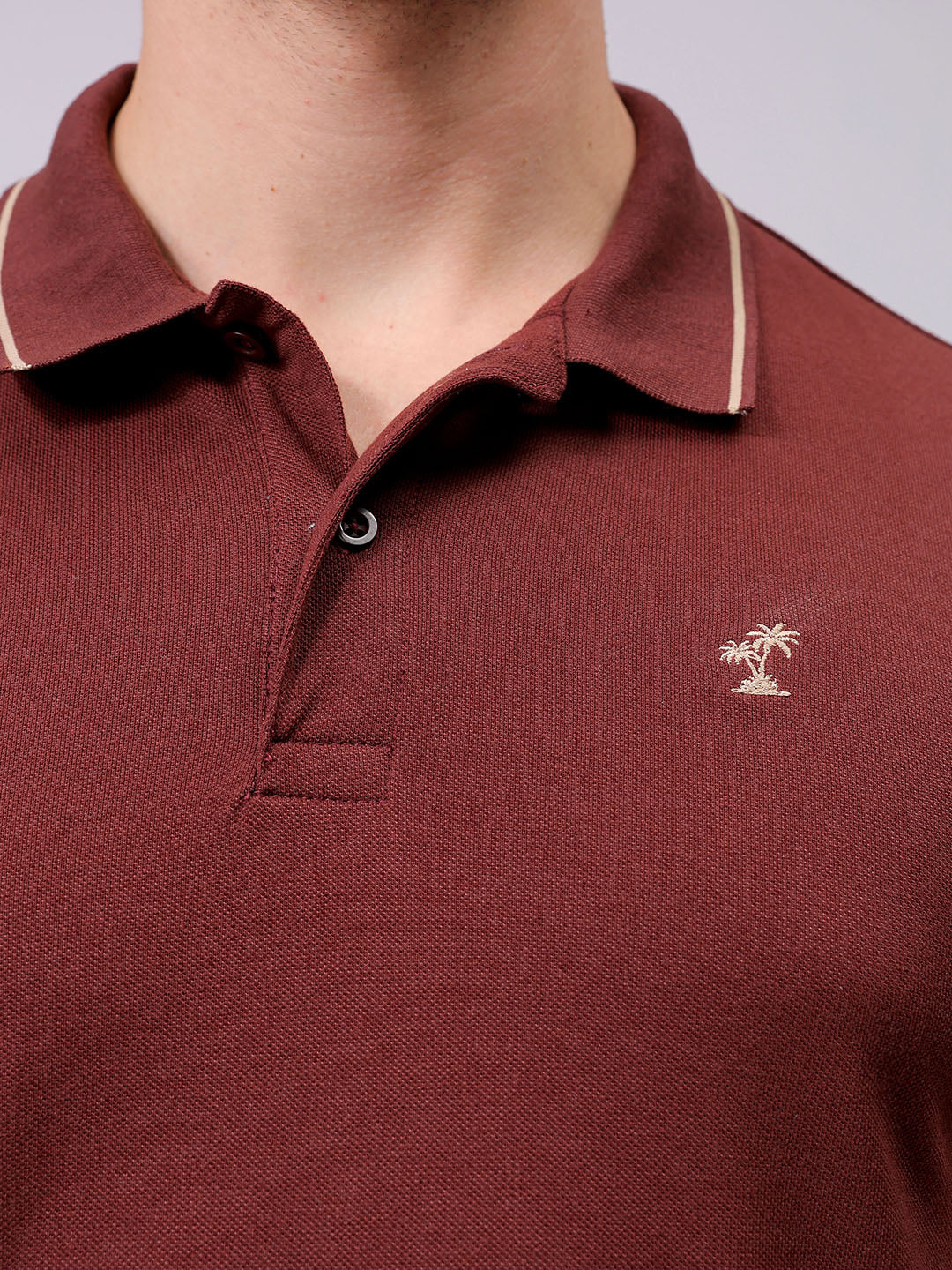 Men's Rum Raisin Regular Fit Embroided Casual T-Shirt - Image 5